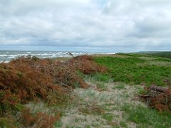 Auf der Kurischen Nehrung