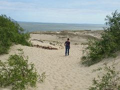 Wanderdüne bei Nida